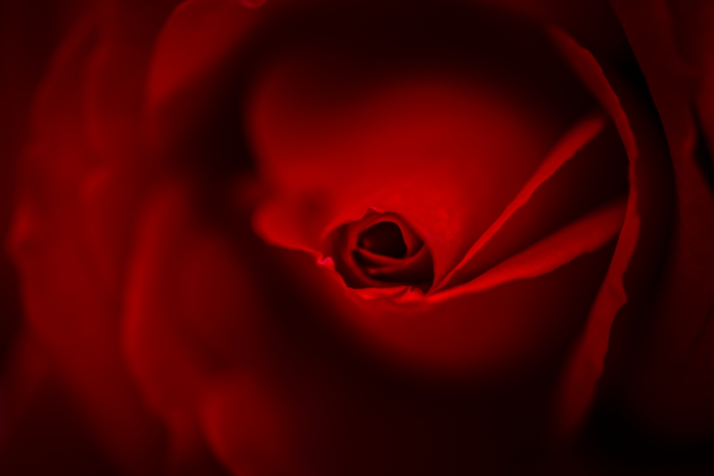 Rossa
