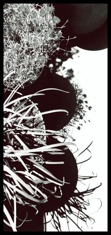 Chiaro-scuro 2