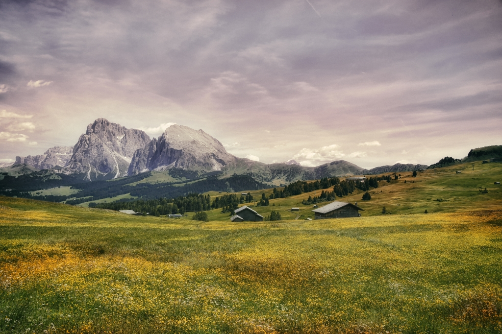 Alba dai mille colori