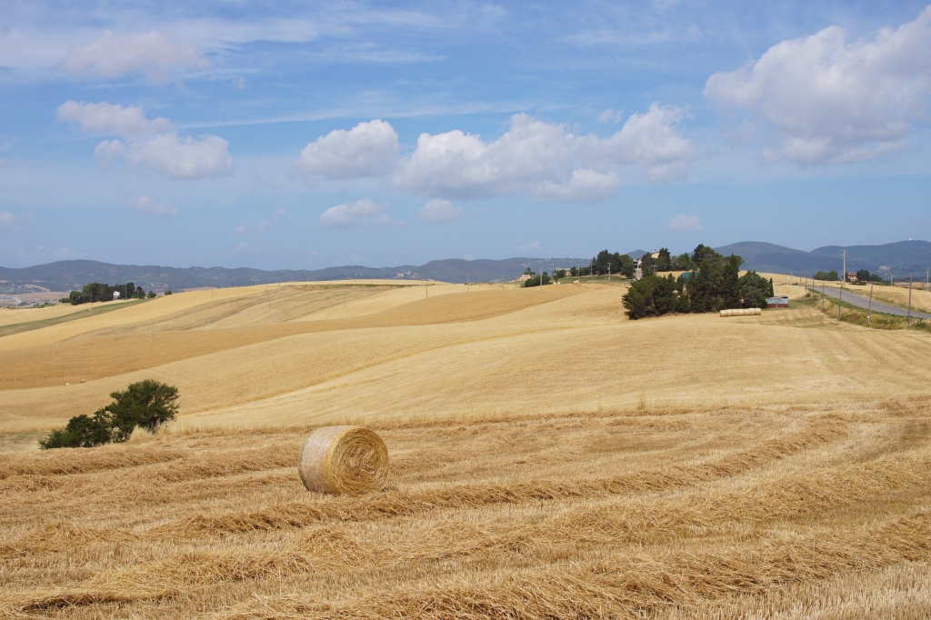Paesaggio estivo tra le colline della Toscana in Val d'Era