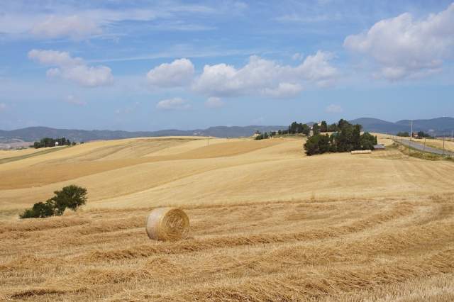 Paesaggio estivo tra le colline della Toscana in Val d'Era