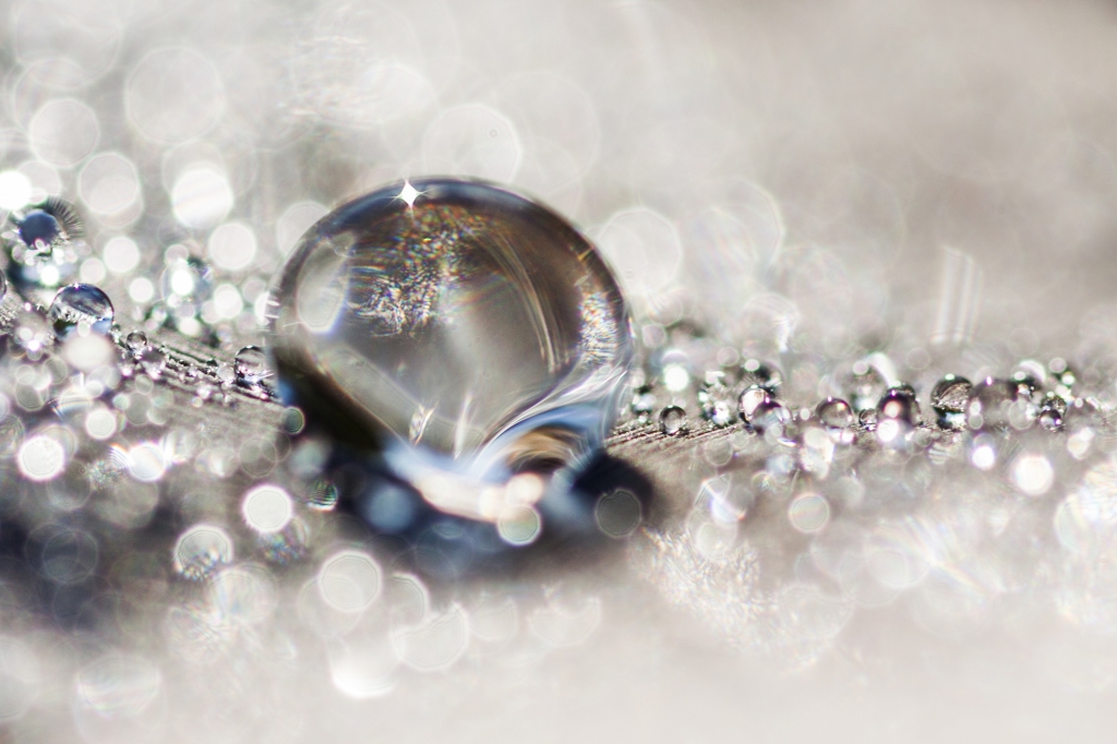 Sweet drop_1