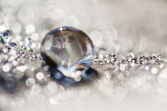 Sweet drop_1 · iaiaboxer
