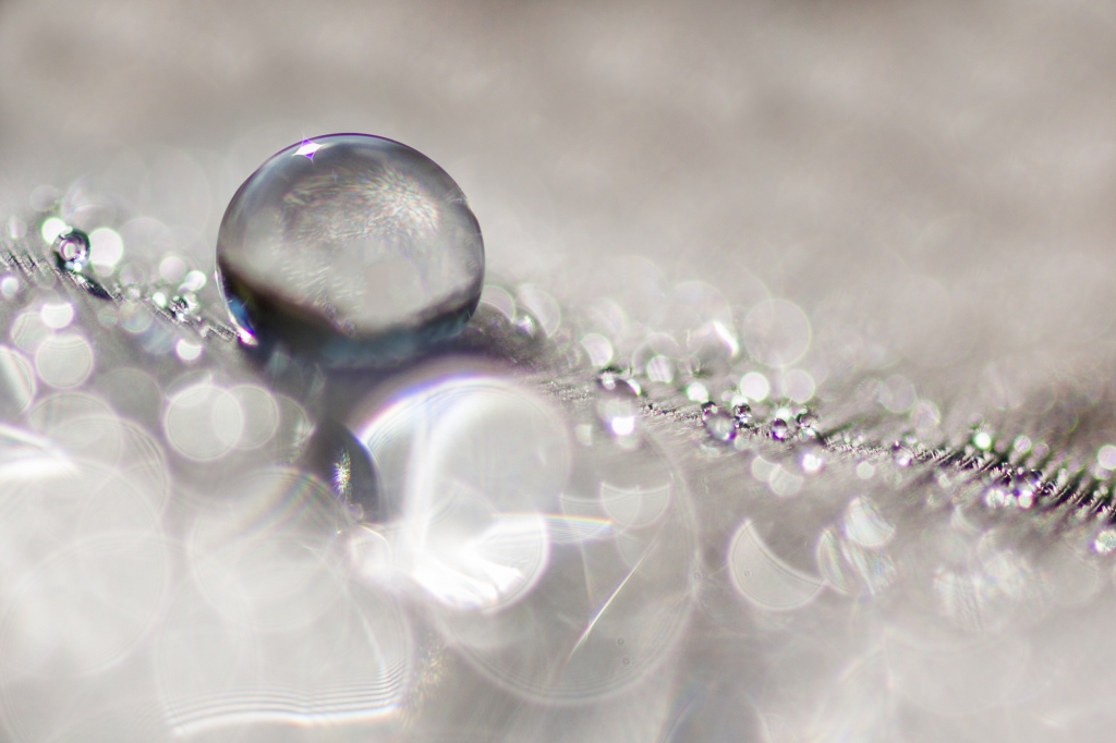 Sweet drop_4
