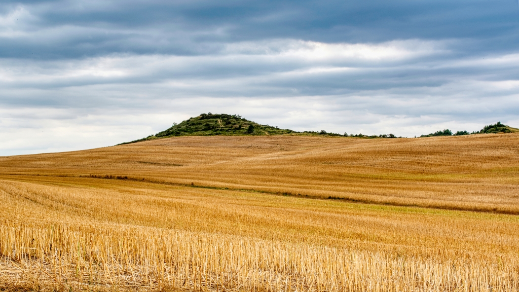 Campagna dorata