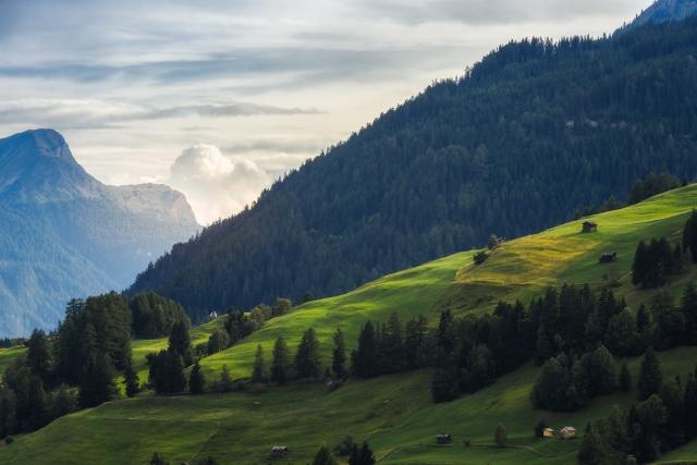 Ultima luce sui pascoli