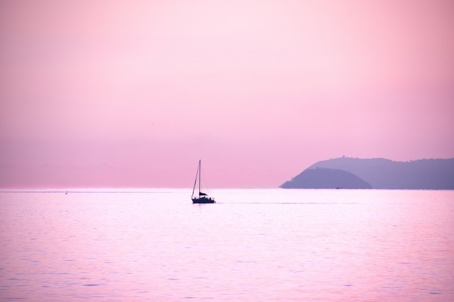 Navigando nel rosa