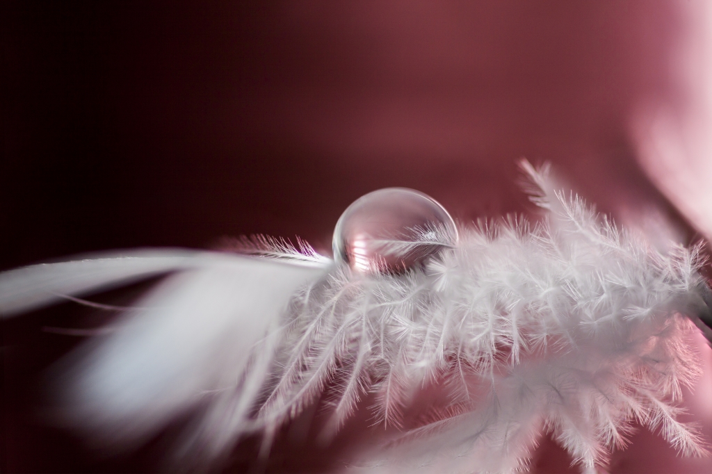 Sweet drop_25