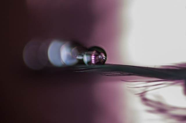 Sweet drop_26
