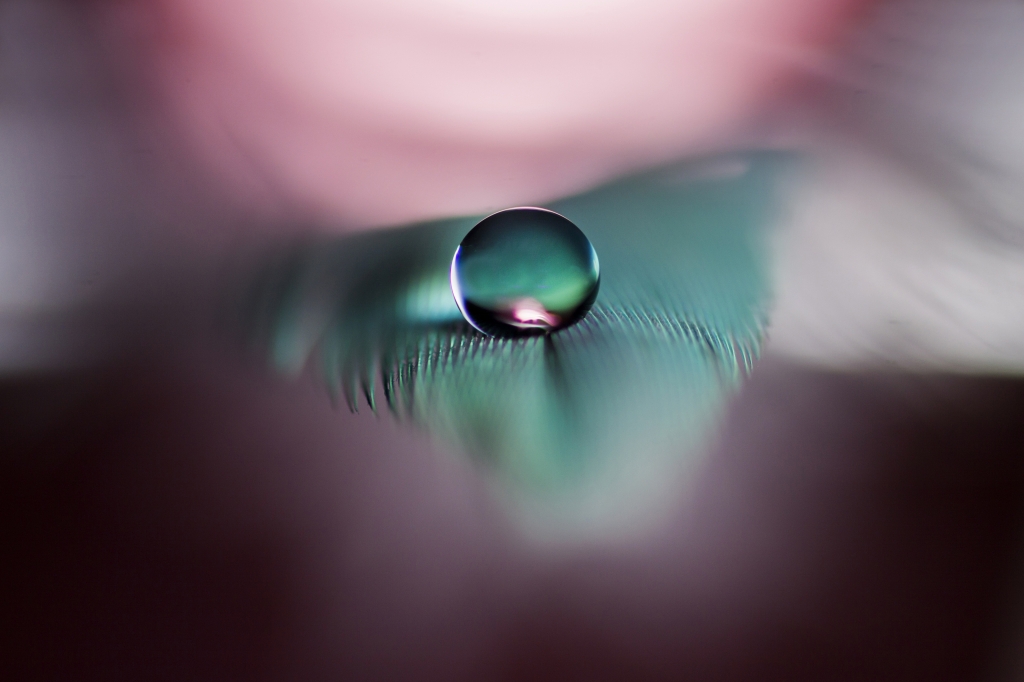 Sweet drop_27