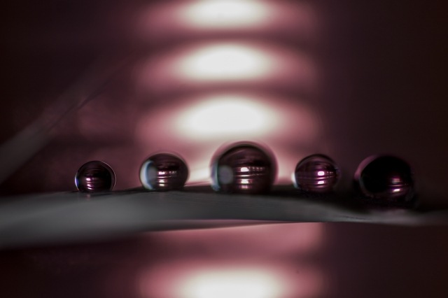 Sweet drop_28 · iaiaboxer