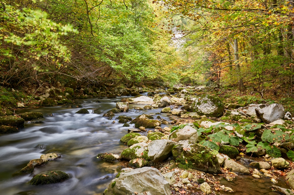 Le sorgenti del fiume Aventino