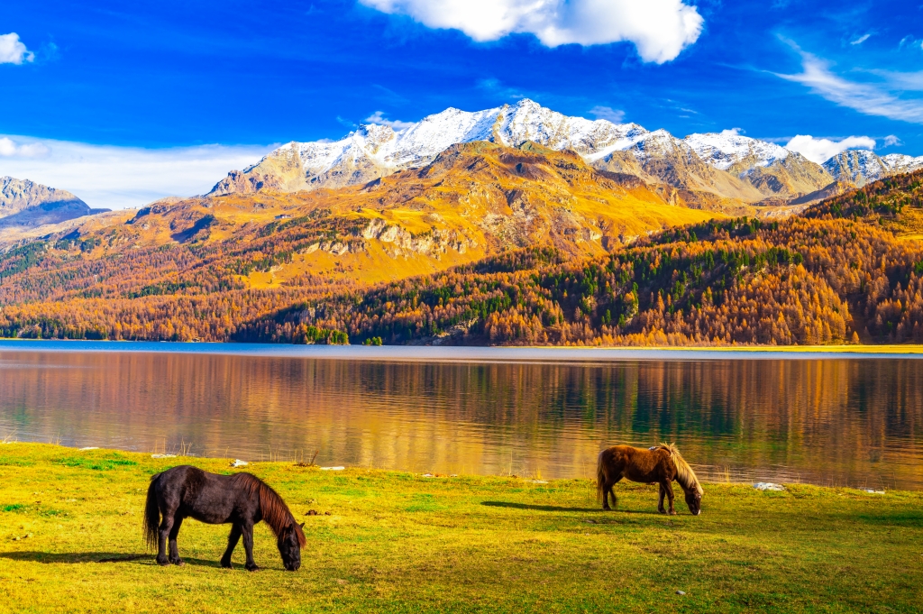 Vita in Engadina