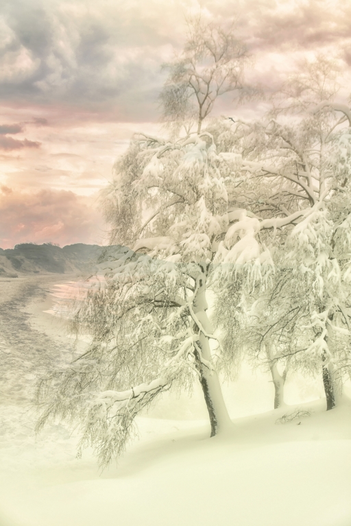 Tramonto innevato