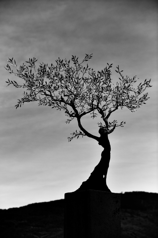 Terra Mater - Cortona