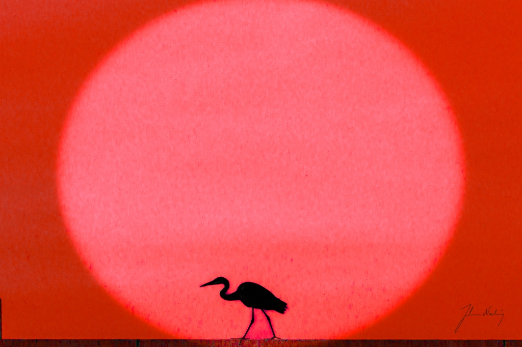 Heron
