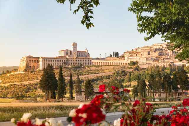 Assisi incorniciata dai fiori.