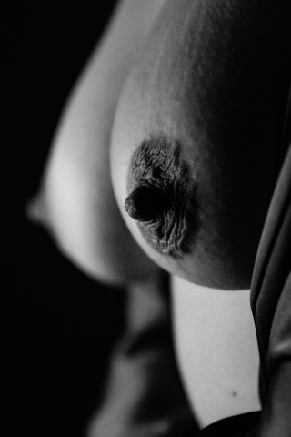 bodyscape