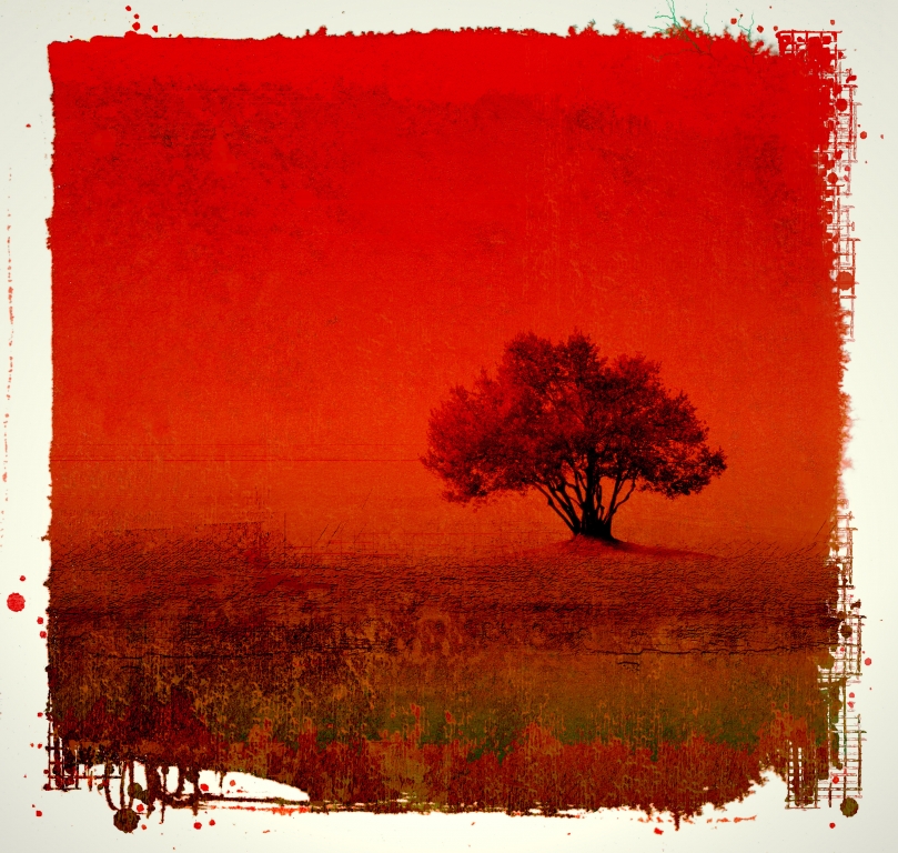 Albero solitario in rosso