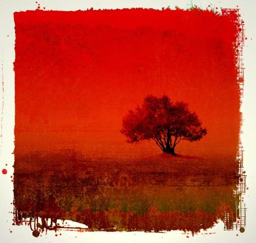 Albero solitario in rosso