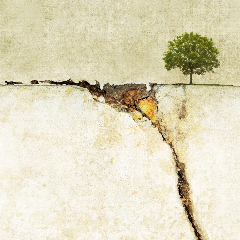Albero solitario 01