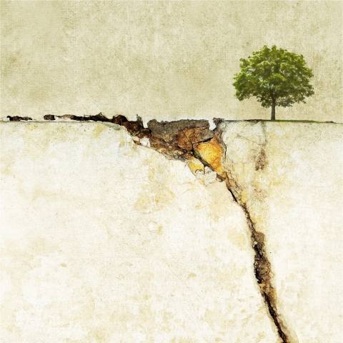 Albero solitario 01