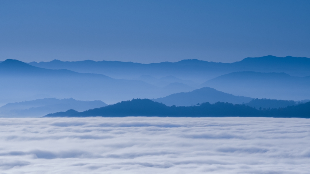 NEBBIA