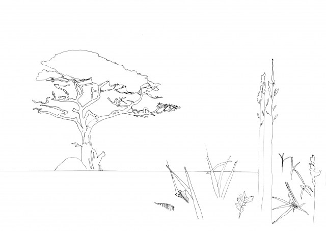 Paesaggio campestre essenziale con albero