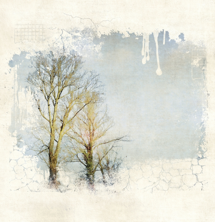 Due alberi