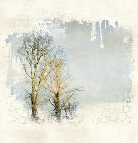 Due alberi
