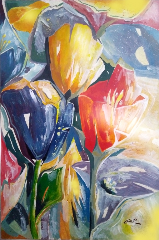 Tulipani  in posa