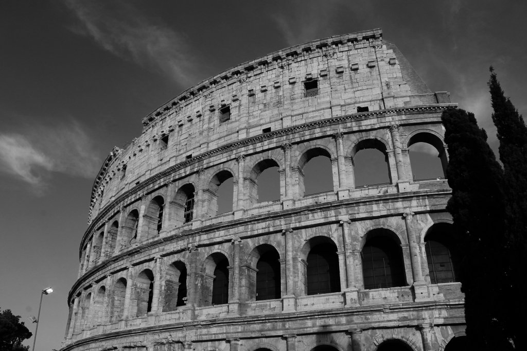 Colosseo bianco e nero - particolare