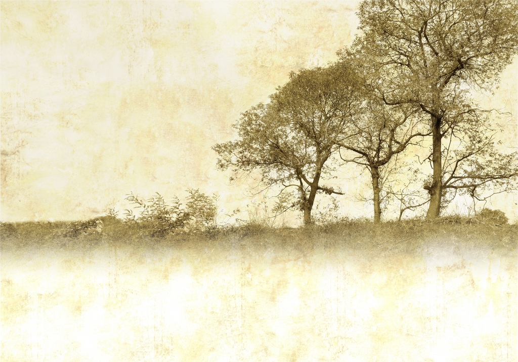 Tre alberi seppia