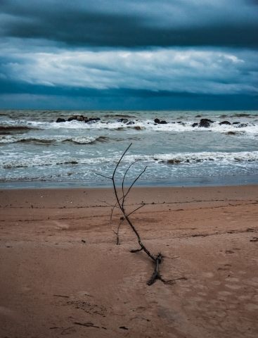 Lonely