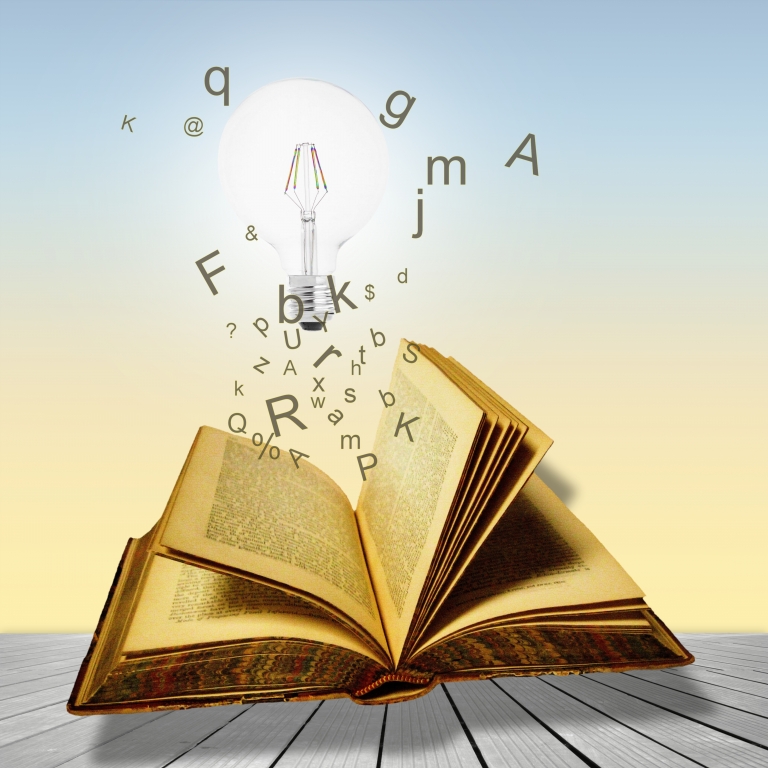 Il libro