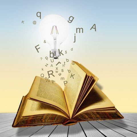 Il libro