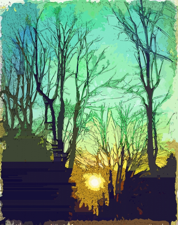 Sole basso. Tramonto.