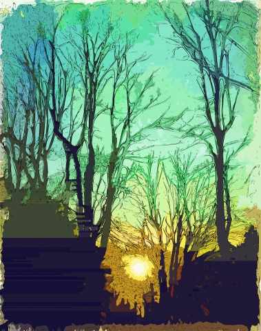 Sole basso. Tramonto.