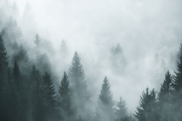 Scorcio nella nebbia
