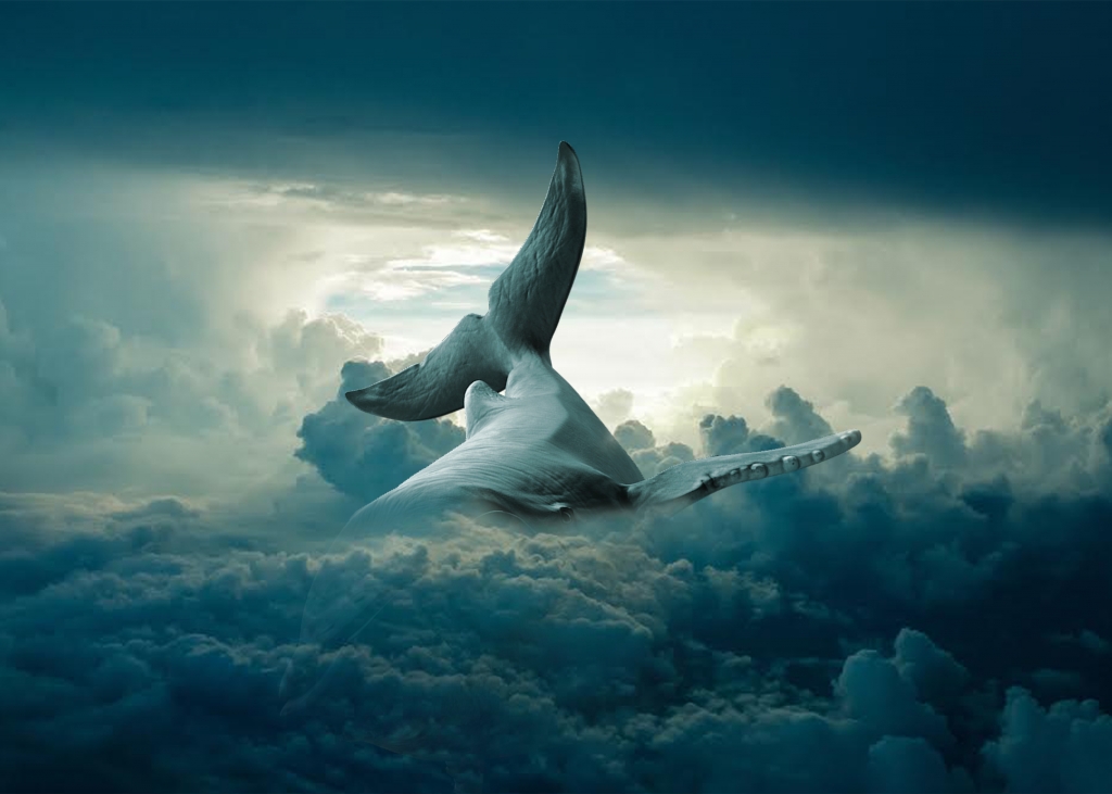 balena in cielo