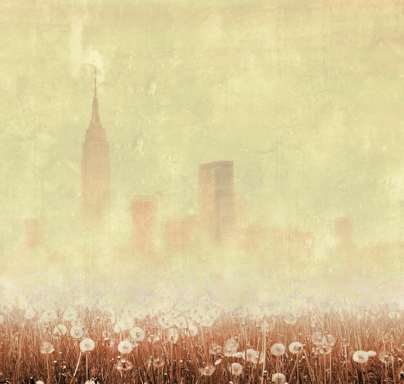 New York nella nebbia con tarassaco