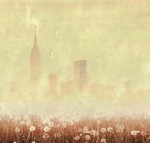 New York nella nebbia con tarassaco