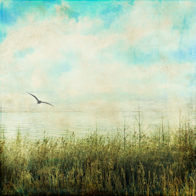 Paesaggio fluviale
