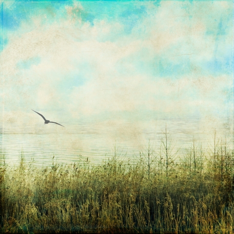 Paesaggio fluviale