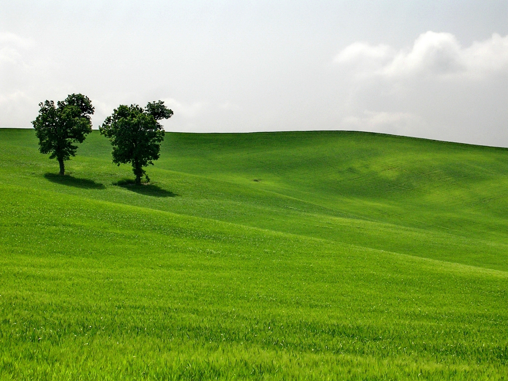 Toscana