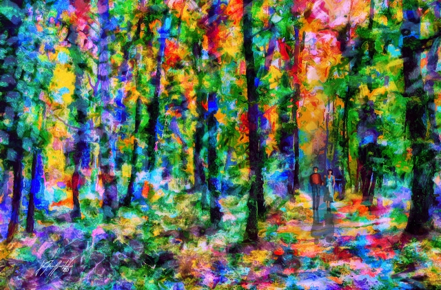 Passeggiata in pineta · sebgiuf