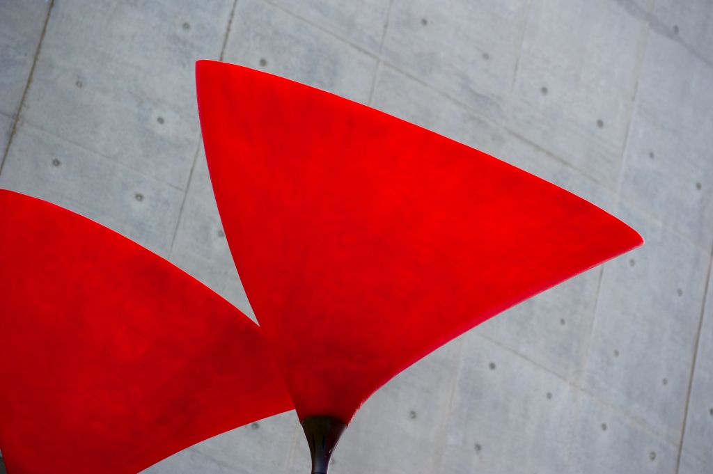 MAXXI fiori rossi