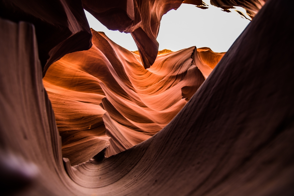 The Desert Between The Rocks Of The Antelope Canyon
