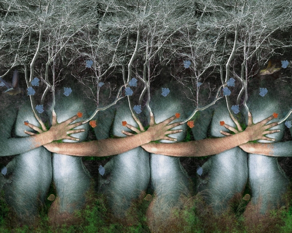 Il bosco delle fragole