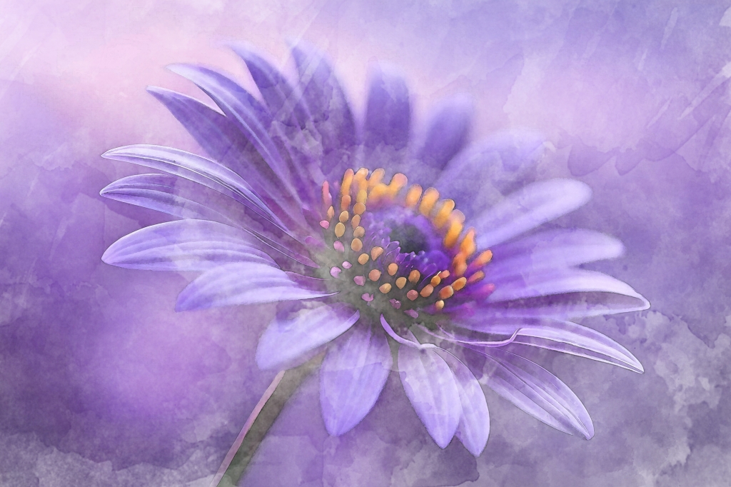 Bellezza naturale. Fiore viola
